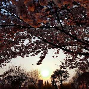 Asmr婬荡娇喘中文国产
